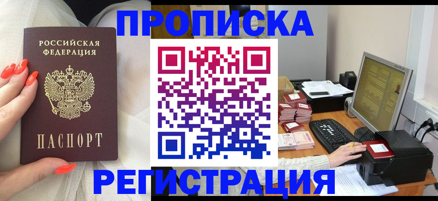 временная регистрация поиск в Павловске